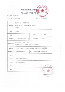 公司資質(zhì)